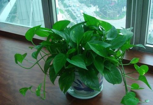 u=4272683697,1440754530&fm=27&gp=0.jpg u=4272683697,1440754530&fm=27&gp=0.jpg