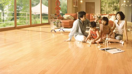 timg (1).jpg timg (1).jpg