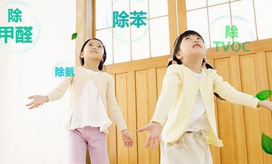 甲醛治理 甲醛治理
