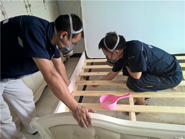 WP_20160806_12_17_06_Pro.jpg WP_20160806_12_17_06_Pro.jpg